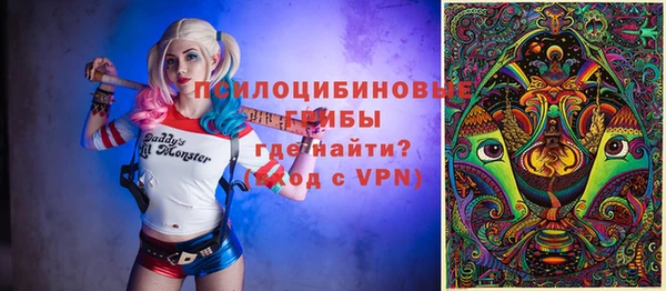 МДПВ Мегион